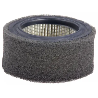 JOHNSON CONTROLS Pneumatic Replacement Intake Filter: Particulate - Replacement Filter Elements