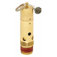 CONTROL DEVICES Air Safety Valve: Hard Seat, 1/2 in (M)NPT Inlet (In.), 50 psi Preset Setting (PSI) (MPN SN50-1A050)