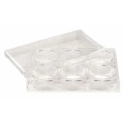 CELLTREAT Well Plate: Sterile, 12 Wells, 4 mL, RNase/DNase Free, Tissue Culture Treated - Cell Culture Plates