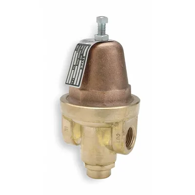 CASH VALVE Brass General Purpose Pressure Regulator - Brass General Purpose Pressure Regulators