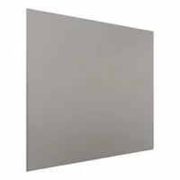 HADRIAN Partition Panel: 304 Stainless Steel, Brushed, Silver, 58 in Ht, 18 in Wd, 1 in Thick (MPN 530018-900)