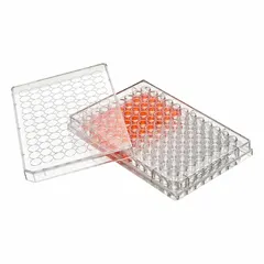 This 96-well cell culture plate is made from colorless polystyrene with round wells, each with a 0.2 mL volume. It is tissue culture treated for cell attachment and RNase/DNase free to prevent contamination. Suitable for cell culture and sensitive assays such as PCR.