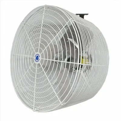 SCHAEFER Mounted Fan: 20 in Blade Dia, 115/230V AC, 1/3 hp Motor HP, Wall Mount - Standard Industrial Wall-Mount Fans