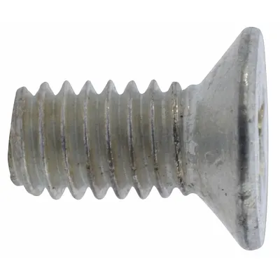 DAYTON Cross Slot Screw, 2 PK, EW-71 - GGS Material Handling Parts