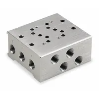 Manifold: Side-Ported Body, 0°F to 122°F, 22 psi to 115 psi, Female 1/8 in NPT, 2 Valve Ports, Side (MPN SMH81N-02)