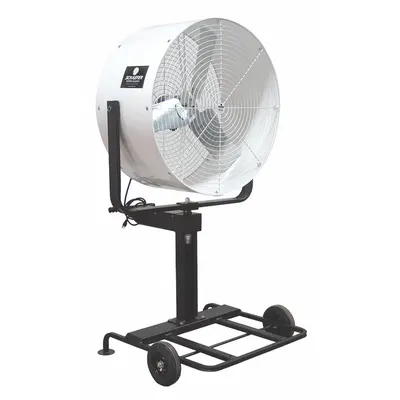 SCHAEFER Circulating Fan: 36 in Blade Dia, 1 Speeds, 1/2 hp Motor HP, Oscillating - Standard Industrial Pedestal Fans