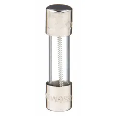 Time-delay cylindrical fuse rated 2.5 A at 250 V AC, 5 mm x 20 mm package. Designed for overcurrent protection in circuits with inductive loads such as motors and transformers, accommodating temporary inrush currents.