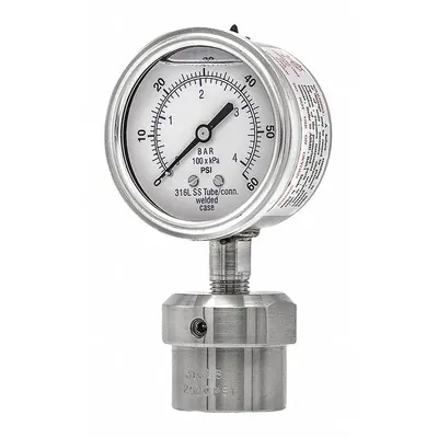 PIC GAUGES 301L254D/0JJJ100 Dial Pressure Gauge with 316 SS - Dial Pressure Gauges with 316 SS Female-Threaded Mini-Seal