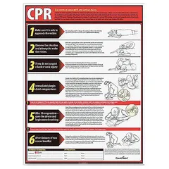 CPR poster designed for workplace and public facility use to provide clear, step-by-step visual instructions for cardiopulmonary resuscitation. Suitable for mounting in break rooms, hallways, or near first aid stations to support emergency preparedness.
