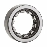 NTN Cylindrical Roller Bearing: 310, 50 mm Bore, 110 mm OD, 27 mm Overall Wd, Cylindrical (MPN NU310EAG1C3)