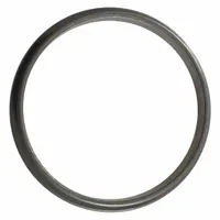 SPEEDAIRE Hammer Housing Pilot Ring: Mfr Part # TT23234G