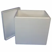 Insulated Shipping Container: 18 in x 14 in x 19 in, 1.25 in Insert Wall Thick, Cardboard, Styrofoam (MPN 248C)