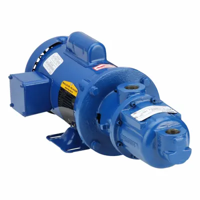 MOYNO Motorized Progressive Cavity Pump: Water, Direct Drive AC Motor, Cast Iron - Wobble Stator PC Pumps with Motor