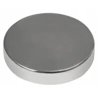 MAG-MATE Rare Earth Magnet: Neodymium, 3/4 in Outside Dia, 0.125 in Thick, Disc Magnet, 42 (MPN CMP7512P1N42)