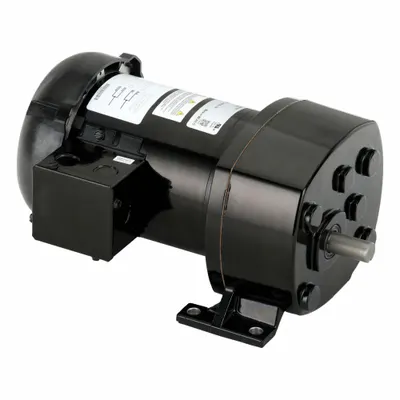 Dayton Gearmotor: Parallel, Single Output Shaft, Split-Phase, TEFC, 287 RPM - Parallel Shaft AC Gearmotors