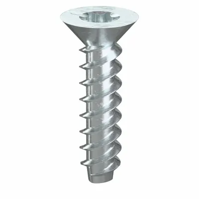 TAMPER-PRUF SCREW Sheet Metal Screw: #0 Size, 1/4 in Lg, Steel, Zinc-Plated, Torx Plus, Flat - Flat Head Sheet Metal Screws