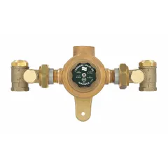 Point-of-source thermostatic mixing valve with 1 1/4 in outlet connection. Includes check-stops with strainer. Blends hot and cold water to a set temperature for applications such as showers, sinks, or process water.