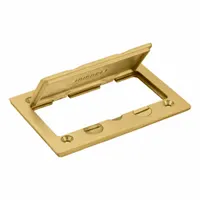 HUBBELL WIRING DEVICE-KELLEMS Floor Box Cover: Rectangular, Gold, Brass, Brushed (MPN S3826)