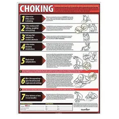 Choking poster designed for display in public facilities, food service areas, and workplaces to provide clear visual instructions for emergency response. Suitable for mounting on walls or bulletin boards in locations where choking hazards may occur.