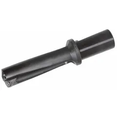 Indexable insert drill for general drilling operations in metalworking. Uses replaceable inserts to maintain cutting performance across a range of materials. Suitable for hole-making in industrial machining environments.
