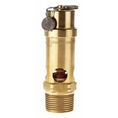 Soft seat pneumatic safety valve with brass body and silicone seat. Features 3/4 in male NPT inlet and 3/4 in female NPT outlet. Used to relieve overpressure in compressed air systems and pneumatic circuits.