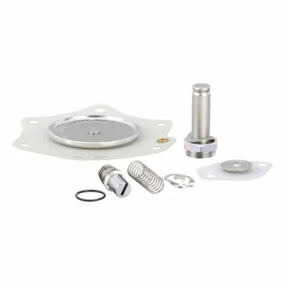 ASCO Valve Rebuild Kit (MPN 302785) - Repair Kits for Solenoid Valves