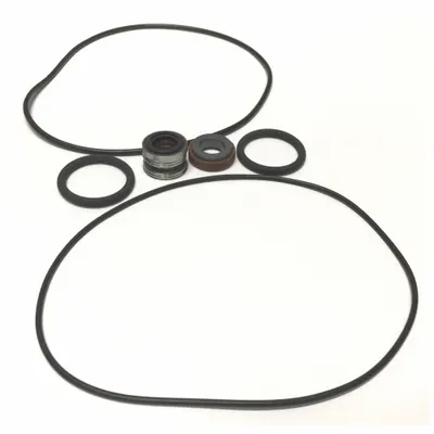AMERICAN STAINLESS PUMPS Seal Kit KMS04018 for Straight Centrifugal Pumps - Seal Kits & Gaskets for Straight Centrifugal Pumps
