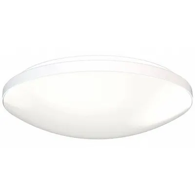 ACUITY BRANDS Flush Mount Light: 11 in Dia, White, 2 3/4 in Ht, 1,200 lm_1,800 lm, 18 W - Round Flush-Mount Lights with Plastic Band