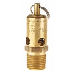 Soft seat pneumatic safety valve with 1/2 in (M)NPT inlet and 5/16 in (F)NPT outlet. Features a stainless steel body and internals with a Viton soft seat. Used to protect pneumatic systems from overpressure by automatically relieving excess pressure, providing leak-tight shutoff in air and gas applications.