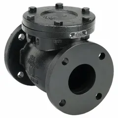 Cast iron inline swing check valve with 5 in pipe size, flange x flange connections, and standard inline valve body. Designed to prevent backflow in piping systems, suitable for water, wastewater, and industrial applications requiring low-pressure-drop flow control.
