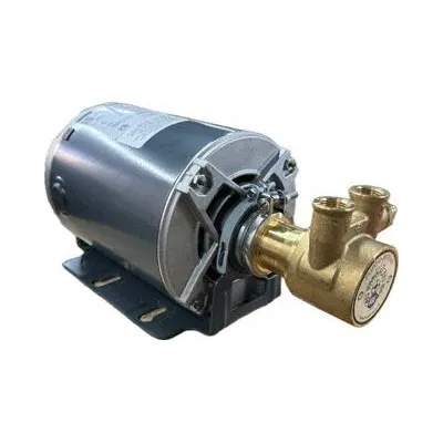 FLUID-O-TECH Rotary Vane Pump: Direct Drive, 1/4 hp, 115/230V AC, Brass Body - Brass Body Rotary Vane Pumps