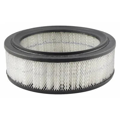 BALDWIN FILTERS PA2036 Round Engine Air Filter - Round/Oval Engine Air Filters