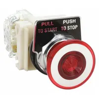 SCHNEIDER Mushroom Head Push Button: Illuminated, Mushroom Head Profile, Non-Metallic, 30 mm, SPDT (MPN 9001KR9P1RH13)