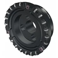 WALTER Indexable Face Mill: M2025-160-B40-21-03 (MPN 6625056)
