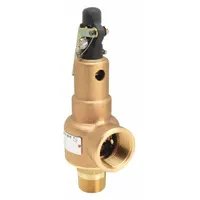 KUNKLE VALVE Safety Relief Valve: MNPT x FNPT, 1 in x 1 1/4 in, Bronze, 314 psi Max. Op Pressure (MPN 6010FEM01AKM0200)