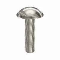 Machine Screw: M6x1.00 Thread Size, 25 mm Lg, Truss Head, Spanner, 316, Stainless Steel, Plain (MPN K1329.06X25)