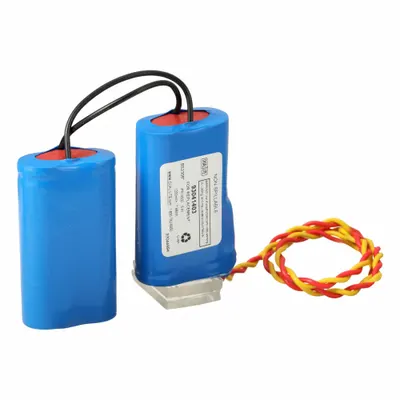 DUAL-LITE BATT-PACK ASSY 4AA CELL LiFePO4 6.4V PCM - Lithium Iron Phosphate Emergency & Exit Batteries