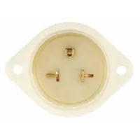 Straight Blade Inlet: 5-20P, White, 125V AC, 20 A, 2 Pole, 3 Blade (MPN 5378)