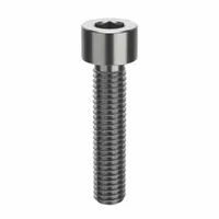 Socket Head Cap Screw: #10-32 Thread Size, 7/8 in Lg, Std, NL-19, Stainless Steel, 316, 25 PK (MPN FB3FTSCAPS103278P25)