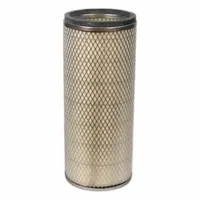FLEETGUARD Automotive Air Filter: Round-Oval, Round, Axial Seal, 29/32 in Outside Dia, PA2519 (MPN AF1894M)