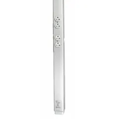 Two-channel service pole with four NEMA 5-20R outlets. Includes two 20A 125V duplex receptacles. Gray finish. Dimensions: 2 1/4 in W x 2 3/8 in H, 10 ft 5 in length. Used to deliver power in open-plan spaces, laboratories, and workstations where floor outlets are not available.