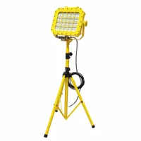LIND EQUIPMENT Flood Light: 24,000 lm Max Brightness, LED, 1, 1 Brightness Levels, 1 Lamp Heads (MPN XP980LED-TR)