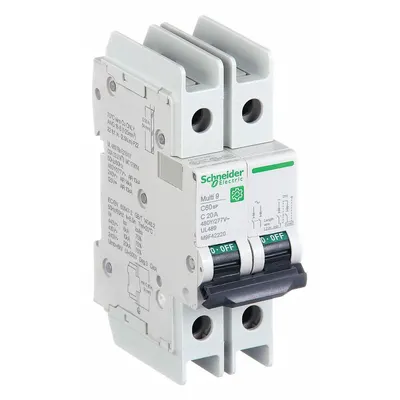 SCHNEIDER C60BP 2-Pole C-Curve Miniature Circuit Breaker - C-Curve, 2-Pole UL489 DIN Rail-Mount Miniature Circuit Breakers