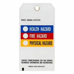 Rectangular white polyester tag, 5-3/4 in high by 3 in wide, 0.01 in thick, not laminated. Supplied as a 25-pack with 25 nylon ties for attachment. Used for equipment identification, hazard marking, or lockout/tagout labeling in industrial settings.