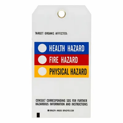 BRADY Tag: Polyester, Rectangle, 5 3/4 in Ht, 3 in Wd, 0.01 in Thick, (25) Nylon Ties - Safety