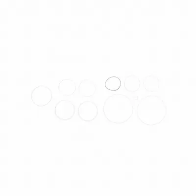 FILL-RITE Teflon Seal Kit: Teflon Seal Kit, Fill-Rite, (2) Gaskets/(9) O-Rings (MPN SK30PTF-V06) - Pumps