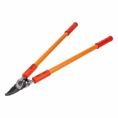 ITL Hedge Shears