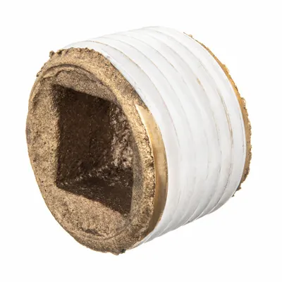 OEM APPROVED VENDOR 1 1/4 in BSPT Threaded Square Drive Cored Plug - Threaded Low-Pressure Pipe Fittings for Potable Water with Thread Sealant