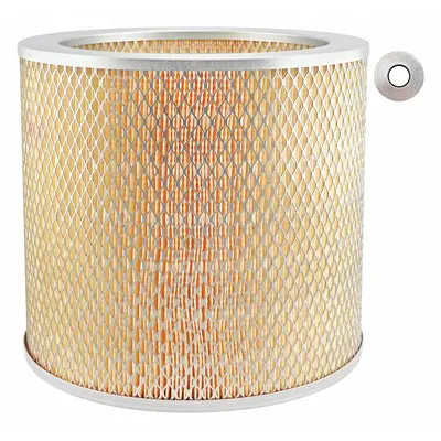 BALDWIN FILTERS PA1621 Round/Oval Engine Air Filter - Round/Oval Engine Air Filters