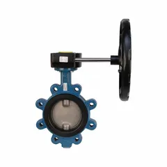 This 12-inch concentric lug butterfly valve features a ductile iron body and a stainless steel disc. It is gear-operated via a handwheel and rated for a maximum pressure of 250 psi CWP. Suitable for general-service isolation and flow control in industrial piping systems handling water, air, and non-aggressive media.